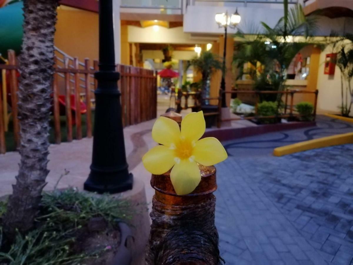 Marysol Las Palmas Rincon de Guayabitos Bagian luar foto